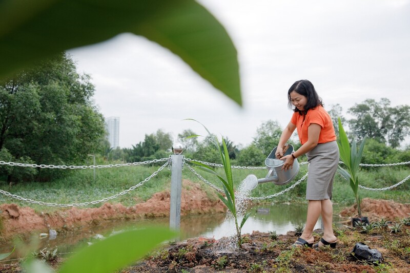 cá cược thể thao hul city